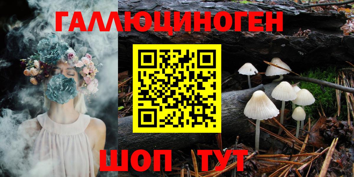 Псилоцибиновые грибы Psilocybine cubensis Краснокамск