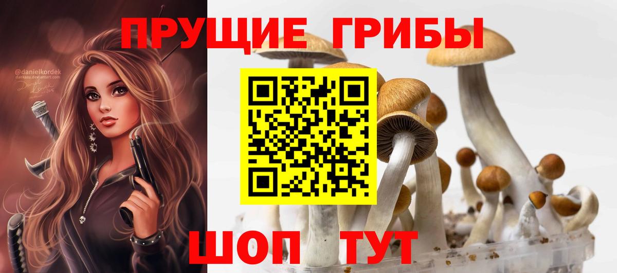 Псилоцибиновые грибы прущие грибы  Краснокамск  Галлюциногенные грибы мухоморы 